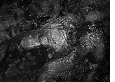 瀬戸正人 写真集「Cesium -137Cs-」