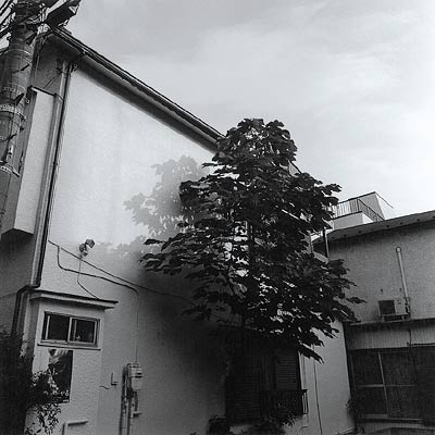 yamaguchi_photo02