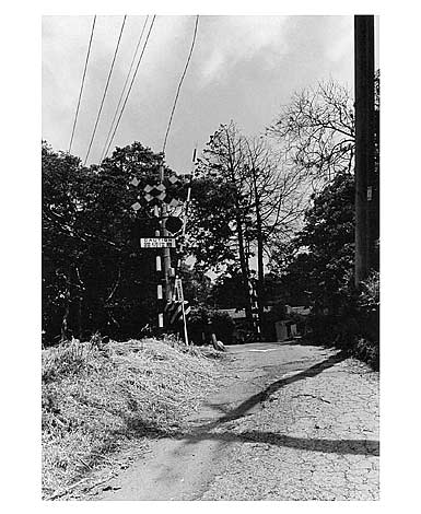 machidori_20050919-0926DM