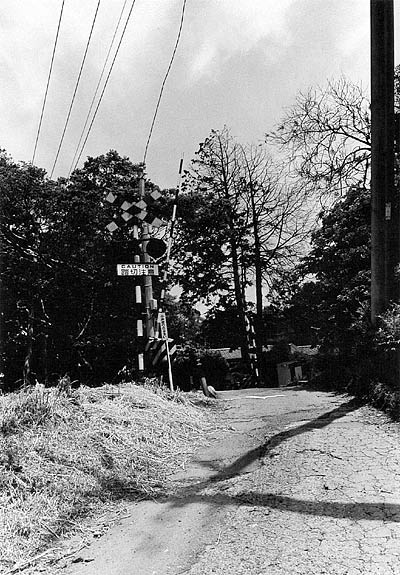 machidori_photo01