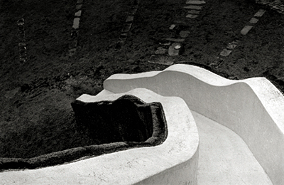 taniguchi_photo01