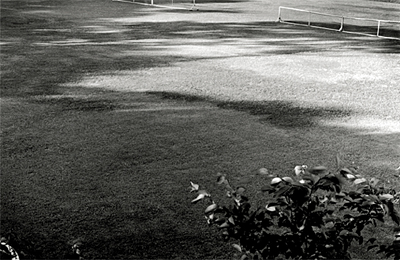 kadoi_photo03
