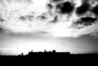 mizutani_photo01
