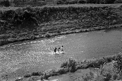 shiiba_photo01