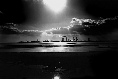 mizutani_photo01