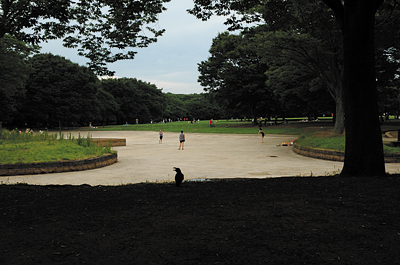 noto_photo01
