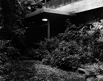 koshima_photo01