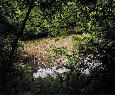 seto_photo01