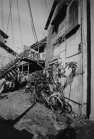 kobayashi_photo01