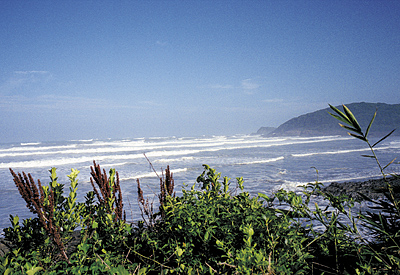 kai_photo01