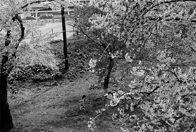 obara_photo01