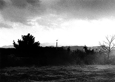 mizutani_photo01