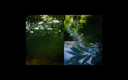 權惠蓮(ゴンへリョン ) Kwon Hearean「zoological garden」