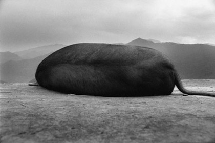 張照堂 Chang,Chao-Tang「歳月・一瞥 - Years In, Years Out」