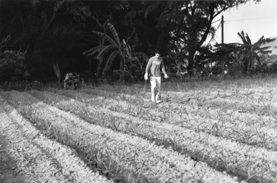 道草:現代写真研究所 第34 期 本科2年 修了写真展