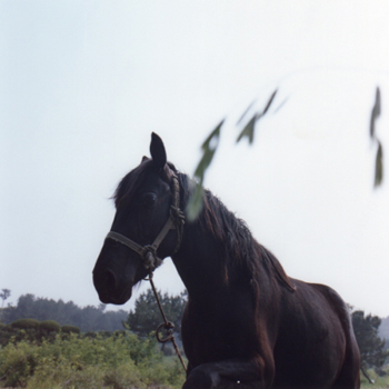 甲斐樹一郎 写真展 [uncertain] kai kiichiro