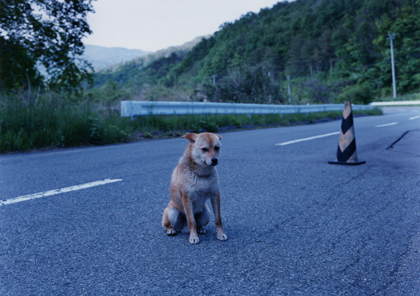 UMA KINOSHITA写真展 「Fukushima」