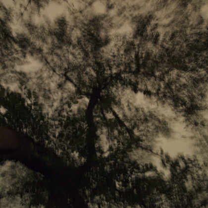 ハラダナオコ写真展 Harada Naoko 「見知らぬ夜」