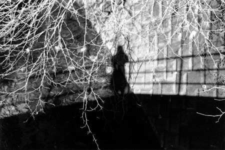 飯田三希子写真展 Iida Mikiko 「Transient world ー仮説世界ー」