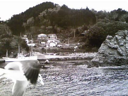 WONDERFUL PHOTO to PEACE - 写真で復興展 「 」