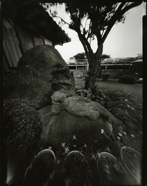 酒井大家司 Sakai Takeshi  [PINHOLE]