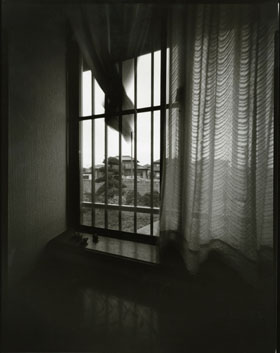 酒井大家司 Sakai Takeshi  [PINHOLE]