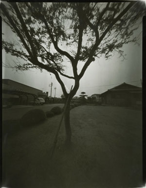 酒井大家司 Sakai Takeshi  [PINHOLE]