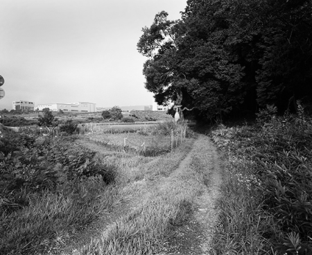 加藤國子 Kato Kuniko  [近江風土記　祈りの風景]