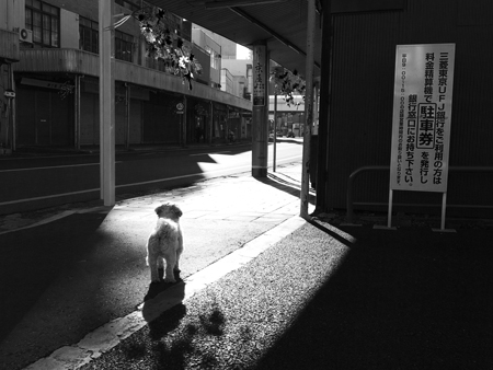 市川 篤 Atsushi Ichikawa  [monochromeの街]