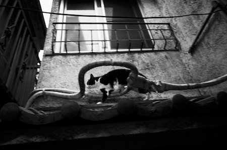PUNCTUM  [PUNCTUM × TOKYO]