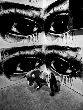 森山大道 Daido Moriyama [記録]