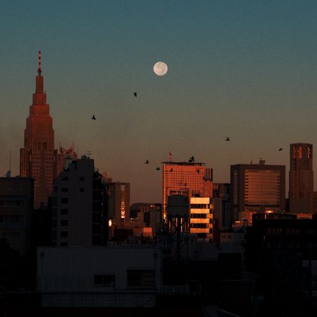 坂井聡一郎 Souichirou Sakai [物語・景]